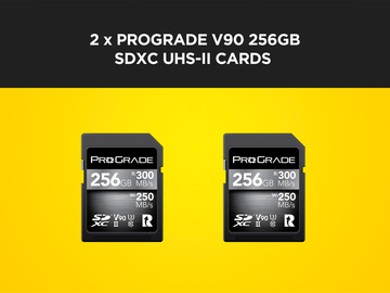 List my kit: 2 x Prograde V90 256GB UHS-II SD Cards