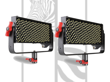 List my kit: Aputure LS 1/2w (Pair)